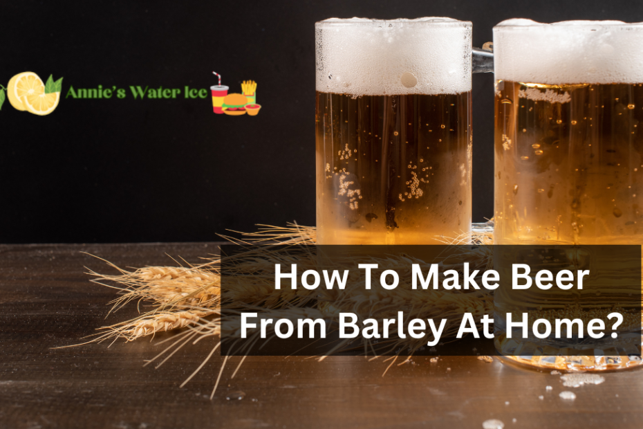 How To Make Beer From Barley At Home?